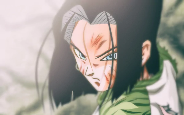 Android 17 (Dragon Ball) Anime Dragon Ball Super HD Desktop Wallpaper | Background Image