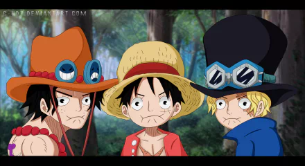 HD anime wallpaper featuring Sabo, Monkey D. Luffy, and Portgas D. Ace from One Piece, set against a forest background.