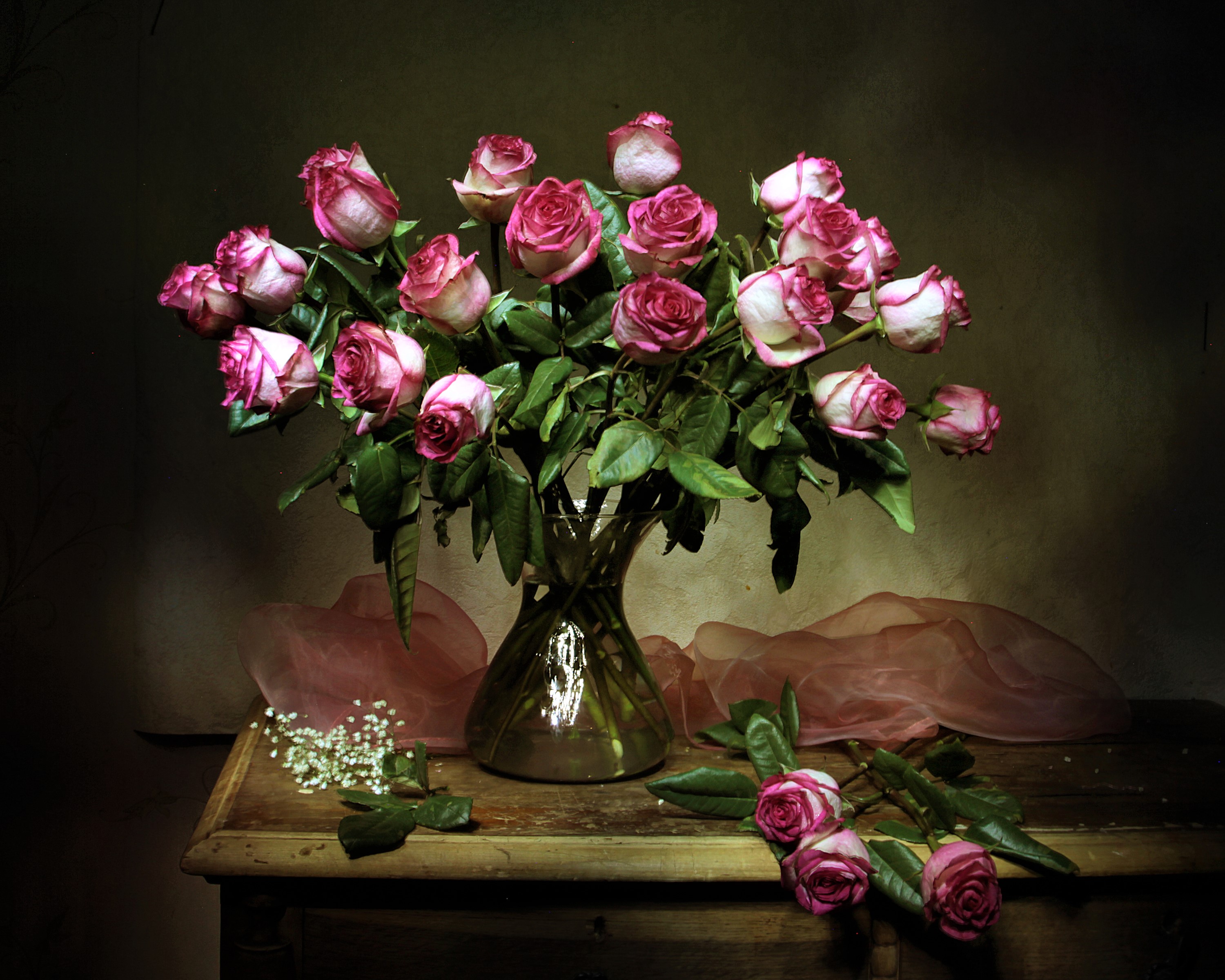 Photography Still Life HD Wallpaper | Background Image