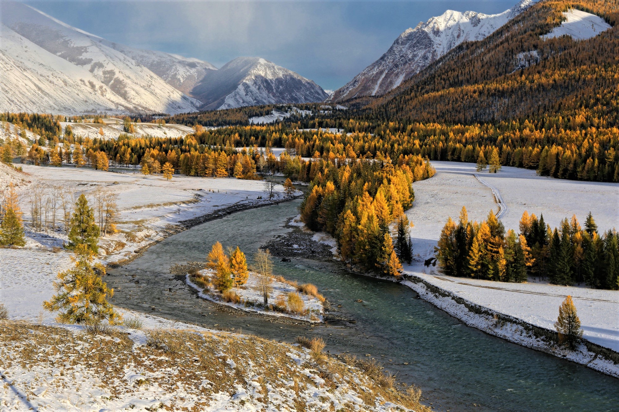 Download Forest Tree River Winter Snow Nature Mountain HD Wallpaper