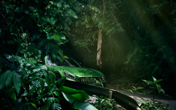 supercar Mercedes-Benz AMG tree green car vehicle Mercedes-Benz AMG GT HD Desktop Wallpaper | Background Image