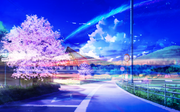 Anime Original Sakura Blossom Shooting Star Fantasy HD Wallpaper | Background Image