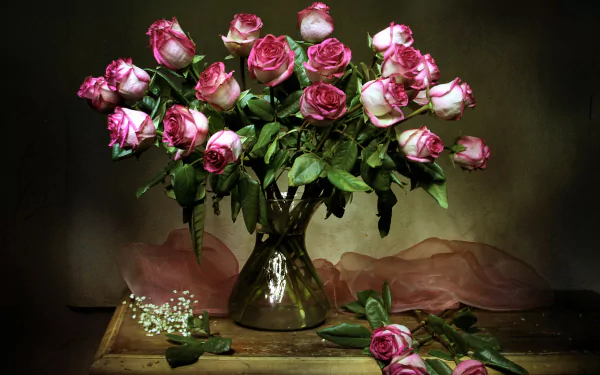 baby's breath vase pink rose rose photography still life HD Desktop Wallpaper | Background Image