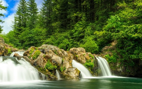 Earth Waterfall Waterfalls Forest HD Wallpaper | Background Image