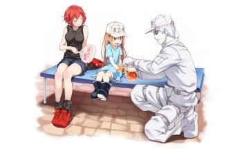 Hataraku Saibou Plaquetas  Blood cells art, Anime, Anime baby