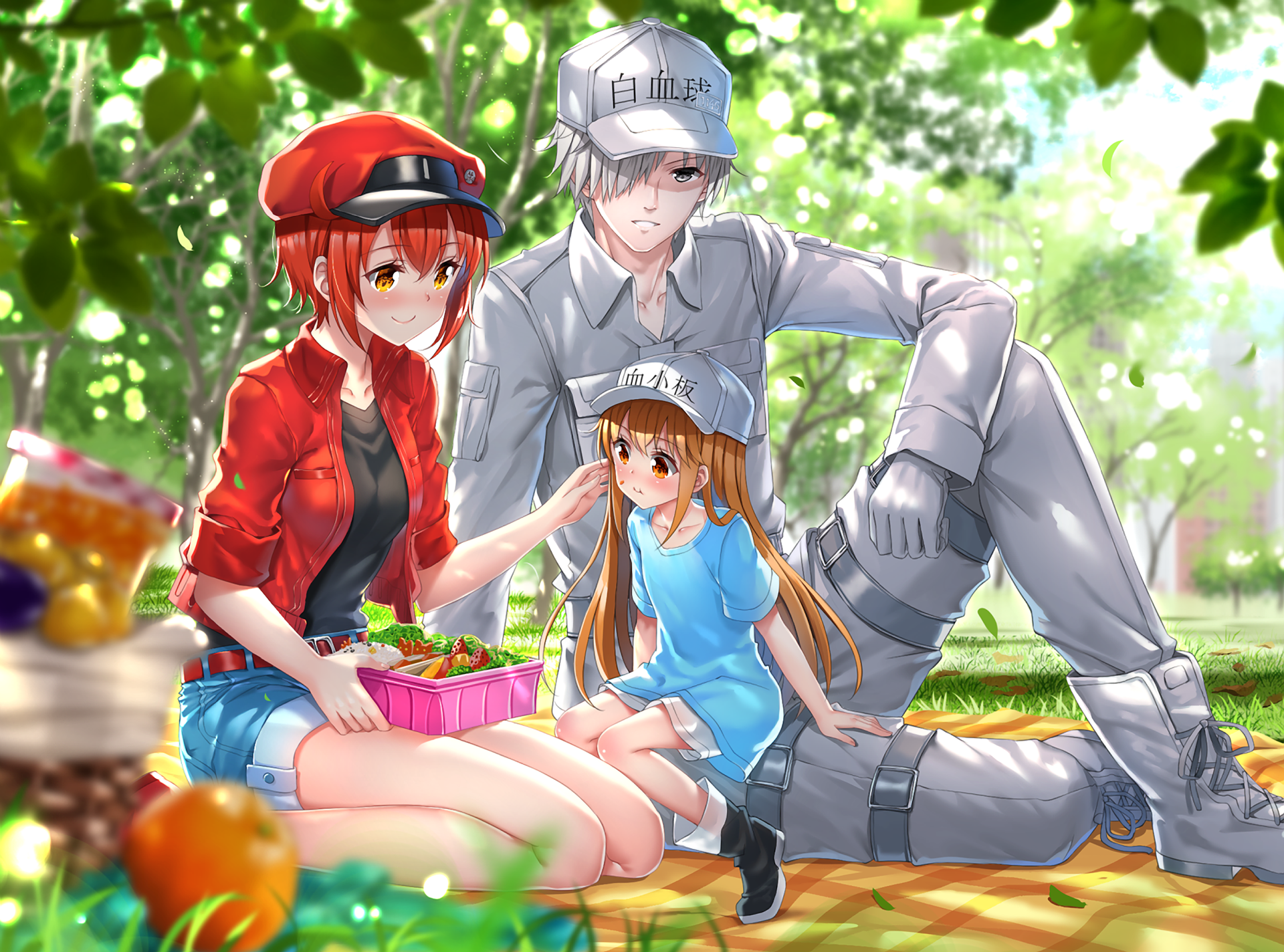 Cells At Work Characters HD Anime Picnic Wallpaper By Swordsouls
