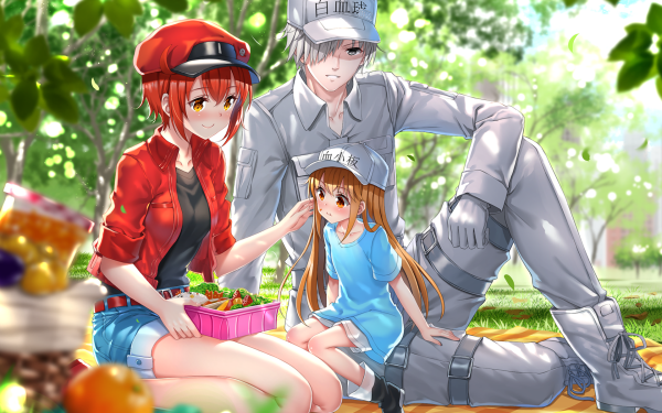 Anime Cells at Work! Platelet U-1146 AE3803 HD Wallpaper | Background Image