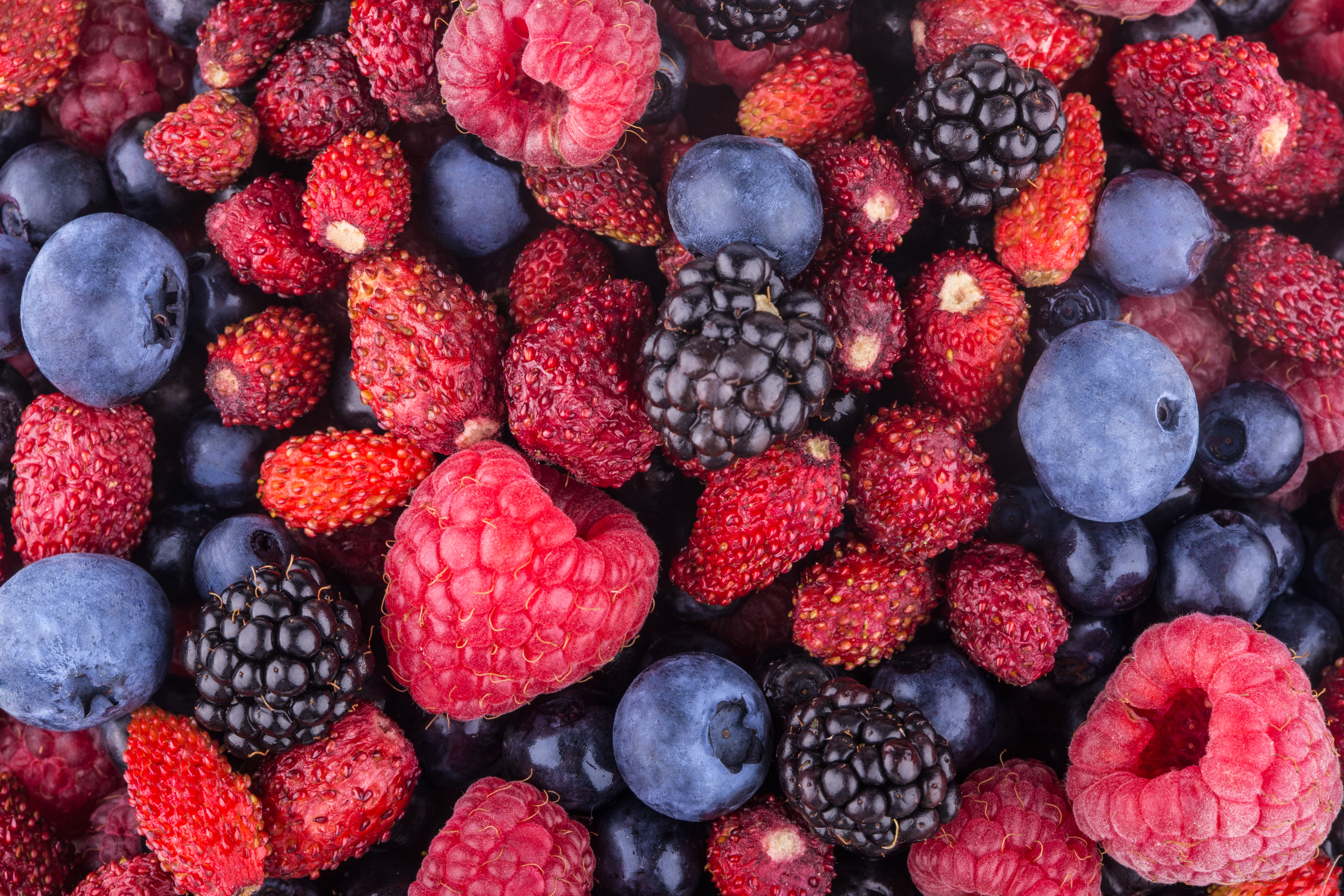 Berry HD Wallpapers and Backgrounds. 