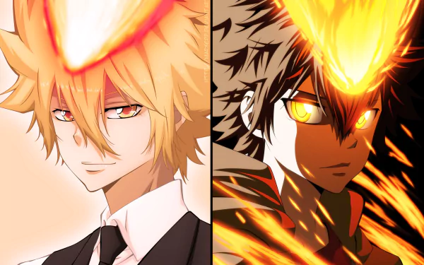 Tsunayoshi Sawada Giotto (Katekyō Hitman Reborn!) Anime Katekyō Hitman Reborn! HD Desktop Wallpaper | Background Image