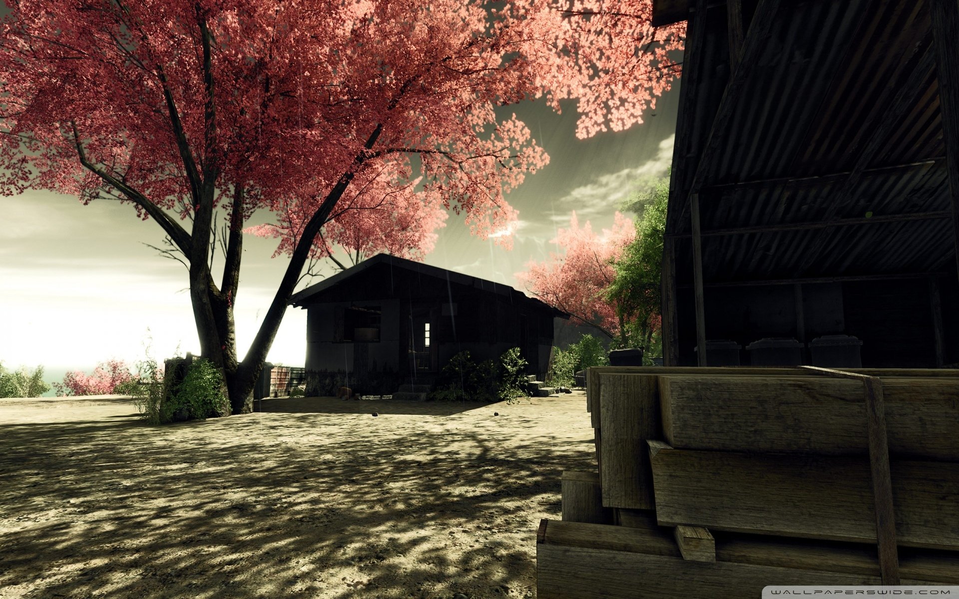 Download Hut Tree Sakura Video Game Crysis HD Wallpaper