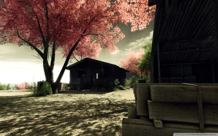 hut tree sakura video game Crysis HD Desktop Wallpaper | Background Image