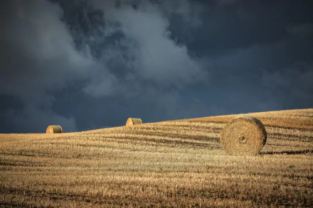 HD PC desktop wallpaper showing a sunlit summer field with round haystacks under a dramatic cloudy sky in a natural rural landscape.
