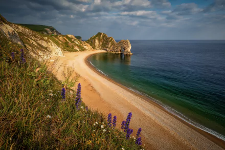 HD desktop wallpaper featuring the natural coastal arch of Durdle Door on a sandy beach, with wildflowers in the foreground and the horizon stretching over calm sea waters.
