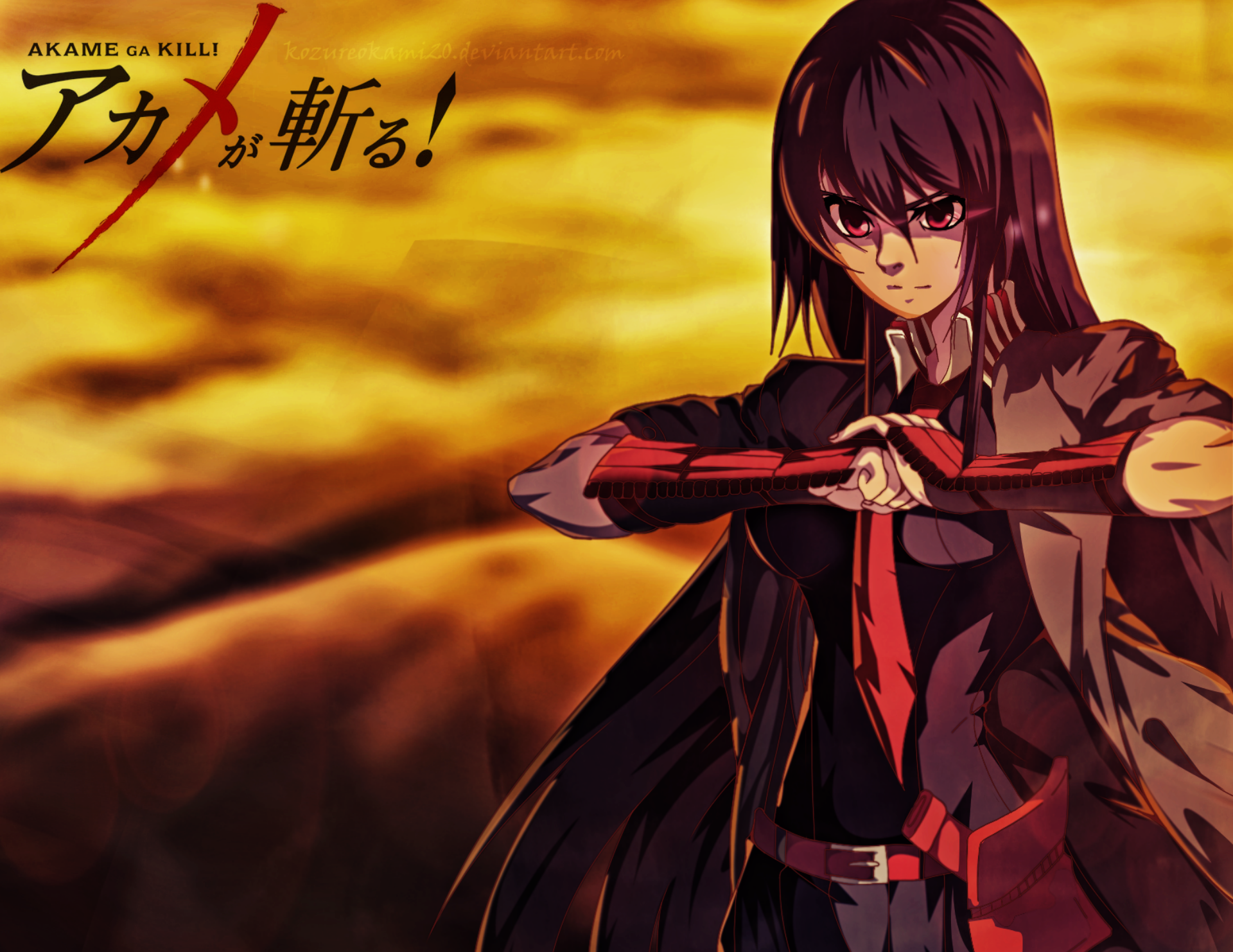 Akame Ga Kill! HD Wallpaper | Background Image | 1920x1482