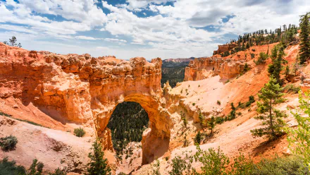  Natural Arch Bryce Canyon