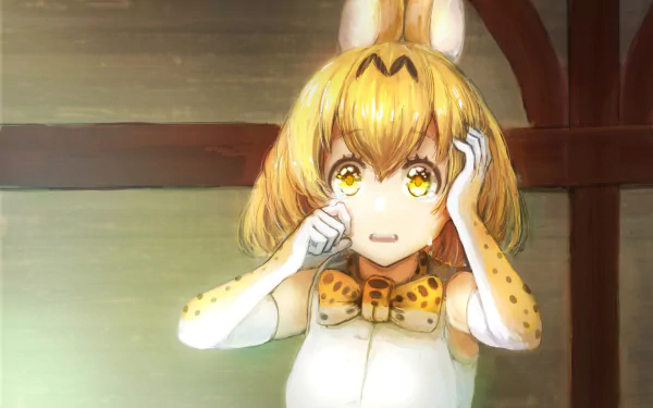 Serval (Kemono Friends) Anime Kemono Friends HD Desktop Wallpaper | Background Image