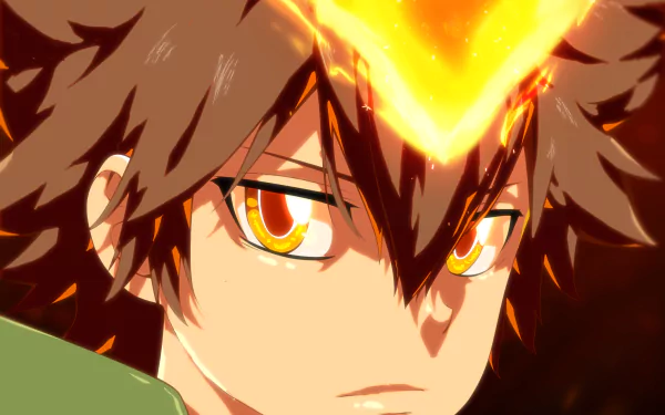 Tsunayoshi Sawada Anime Katekyō Hitman Reborn! HD Desktop Wallpaper | Background Image