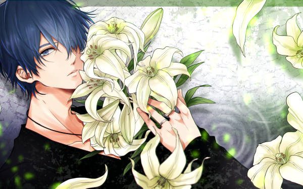 Anime Vocaloid Kaito HD Wallpaper | Background Image