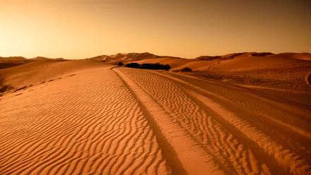 Sunset casts warm hues over vast African desert sand dunes with textured ripples and tire tracks, captured in 4K Ultra HD for a stunning nature desktop background.
