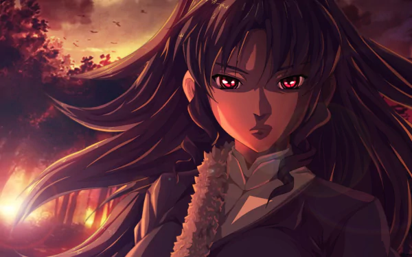 Cassie Lockheart Anime Freezing HD Desktop Wallpaper | Background Image