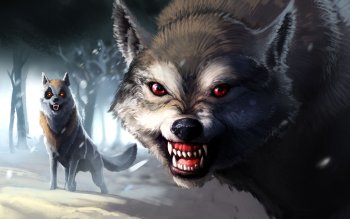 16 Sk HD Wallpapers | Background Images - Wallpaper Abyss