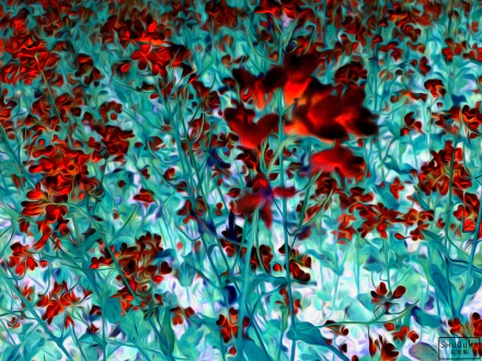 An artistic HD oil painting of vibrant red flowers against an aqua blue background, creating a stunning floral desktop wallpaper.
