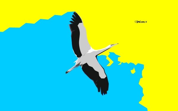 Animal Stork Birds Storks Bird Simple Minimalist HD Wallpaper | Background Image