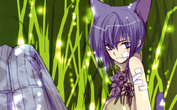 Aoyagi Ritsuka Loveless (Anime) Anime Loveless HD Desktop Wallpaper | Background Image