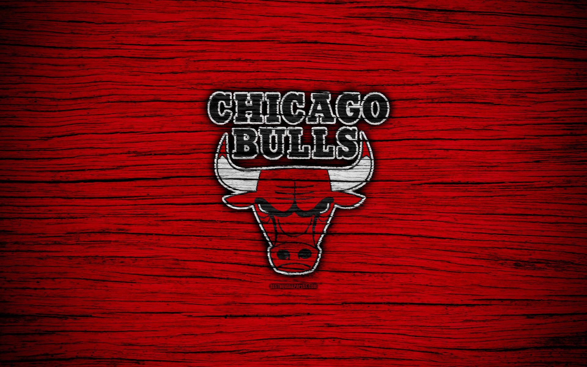 Chicago Bulls Logo