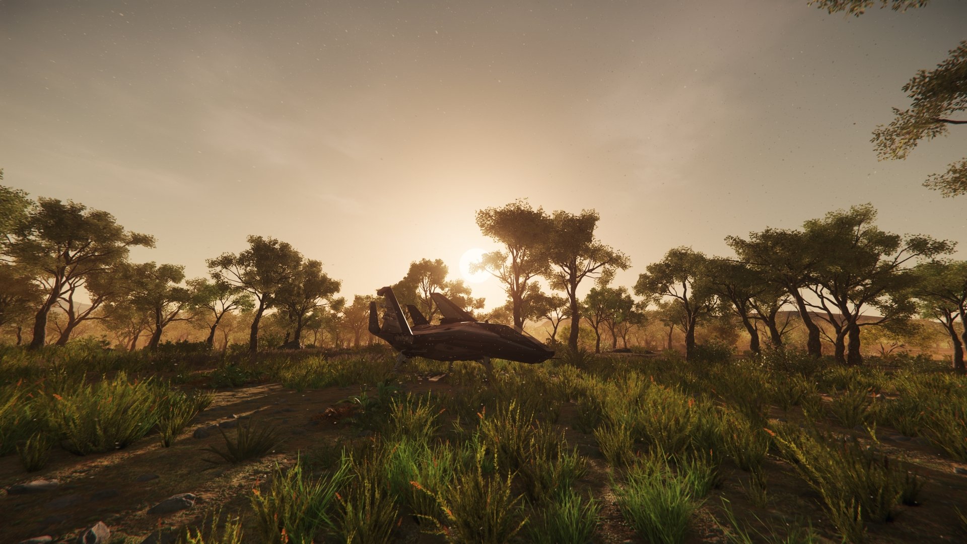 Download Arrow (Star Citizen) Video Game Star Citizen 4k Ultra HD Wallpaper by DesoShow