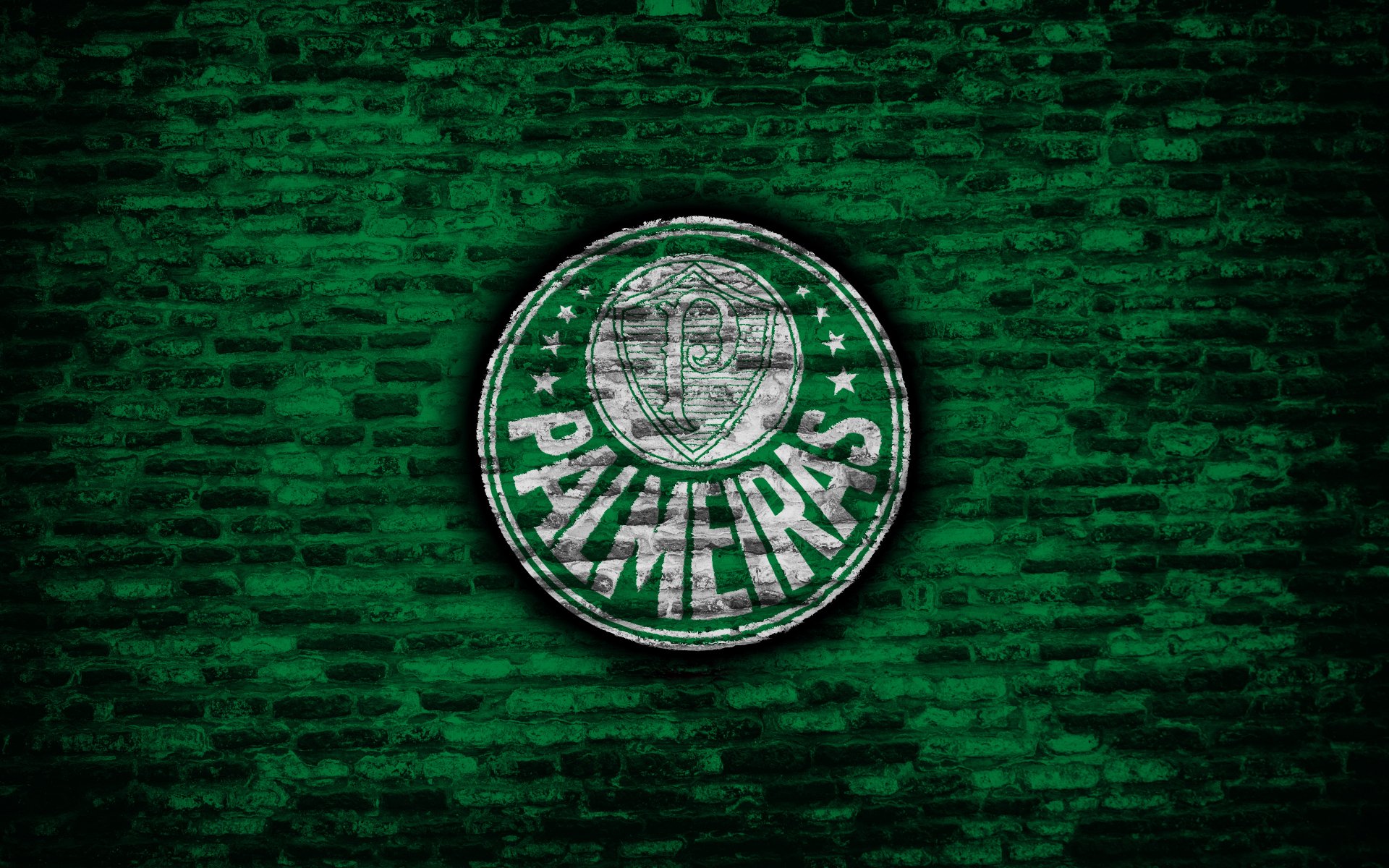 Palmeiras Logo 4k Ultra HD Wallpaper  Background Image  3840x2400