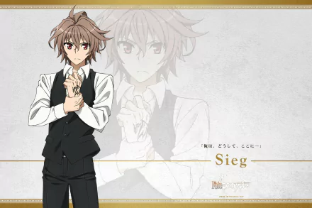 Sieg (Fate/Apocrypha) Anime Fate/Apocrypha HD Desktop Wallpaper | Background Image