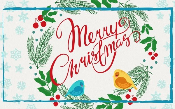 Holiday Christmas Merry Christmas Bird HD Wallpaper | Background Image
