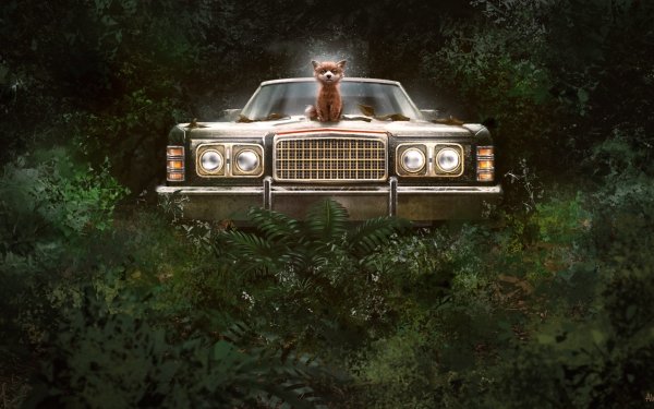 Fantasy Fox Car HD Wallpaper | Background Image