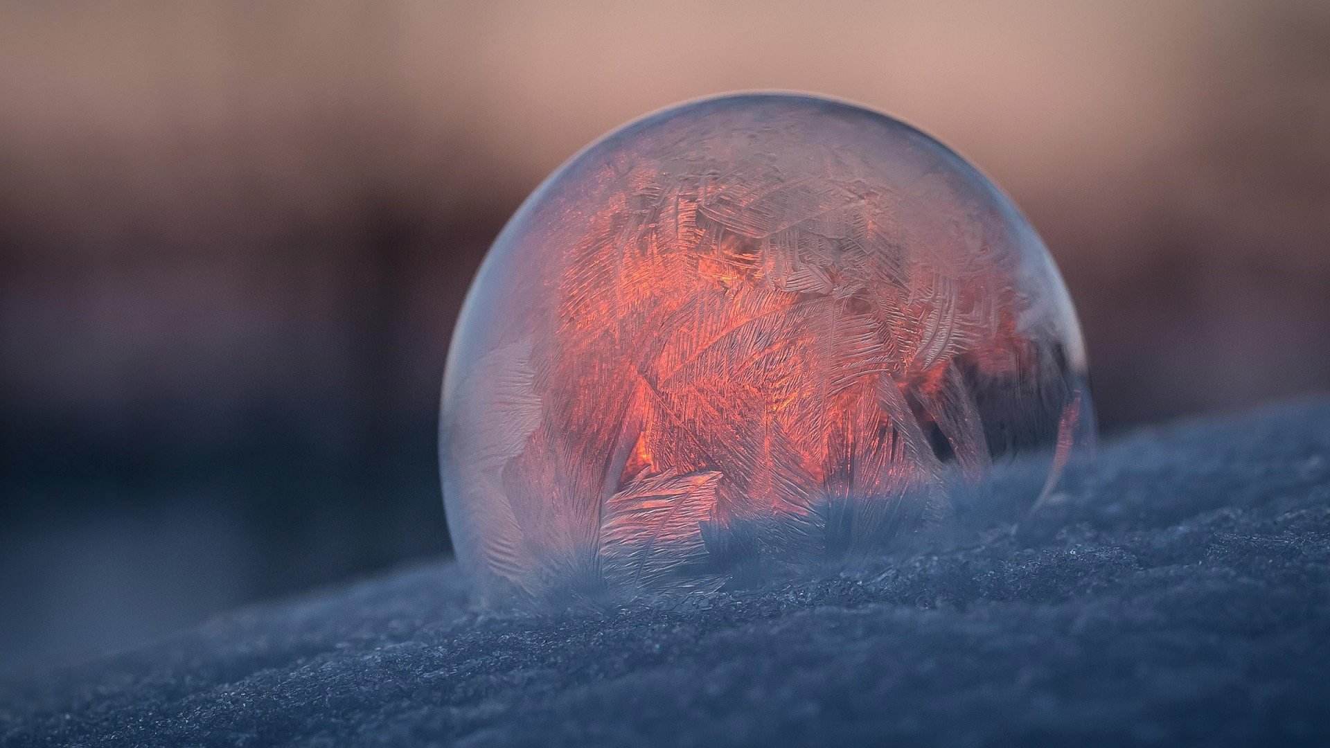 frozen bubble 1