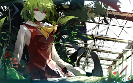 Yuuka Kazami Anime Touhou HD Desktop Wallpaper | Background Image