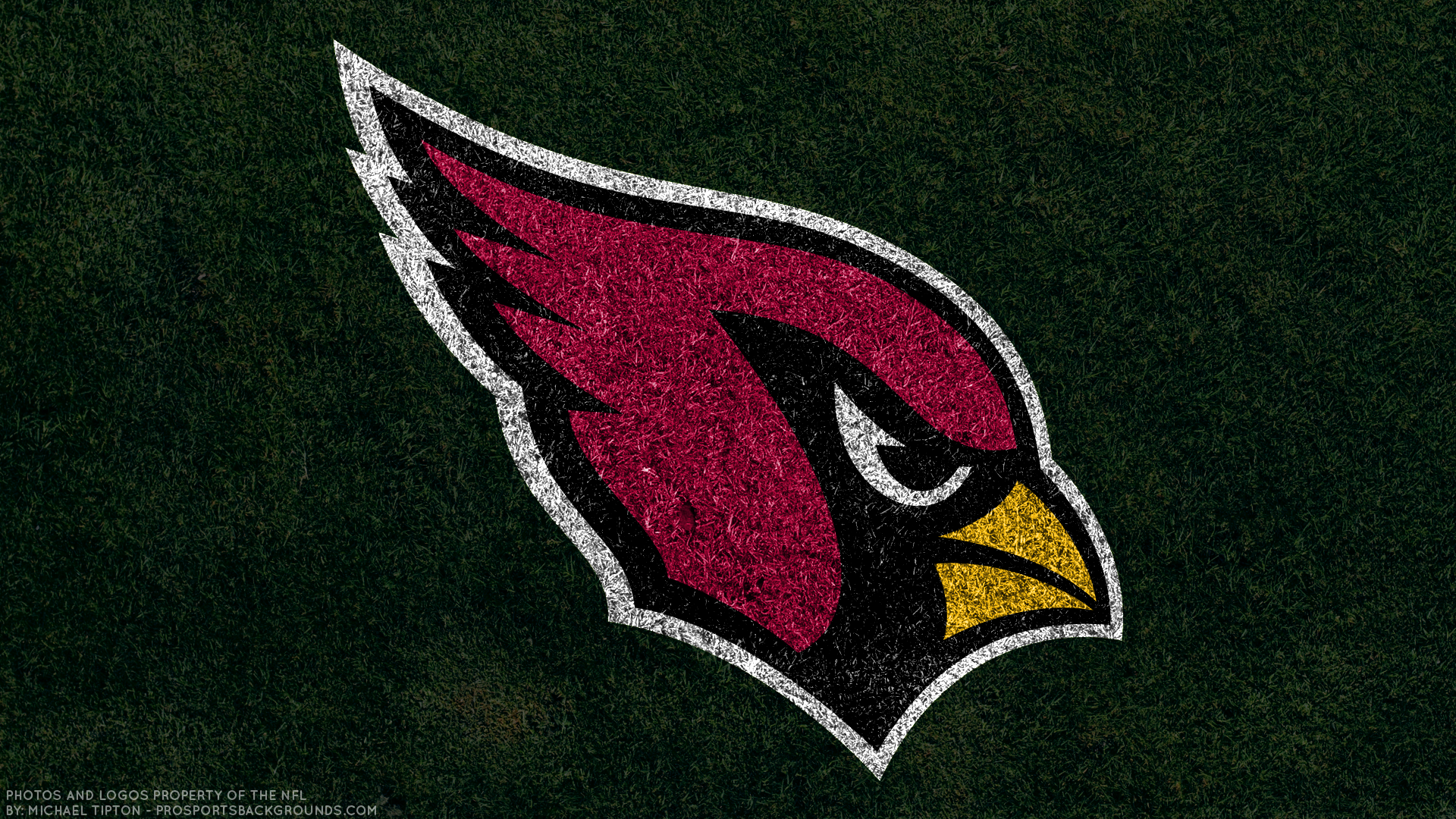 Sports Arizona Cardinals HD Wallpaper | Background Image
