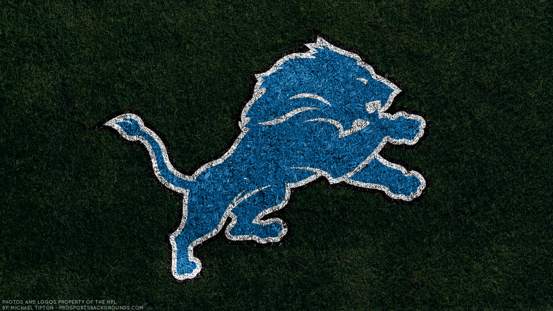 10 Detroit Lions Hd Wallpapers And Backgrounds