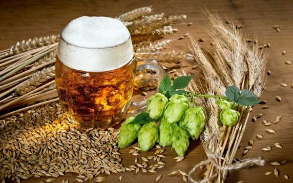 Food Beer Alcohol Drink Hop Still Life HD Wallpaper | Background Image