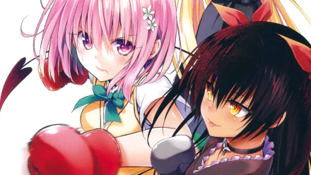 HD anime wallpaper featuring Momo Velia Deviluke and Nemesis from To Love-Ru in an intense fight scene, showcasing vivid colors and dynamic action.