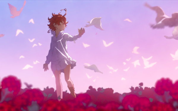 Anime The Promised Neverland Emma Yakuzoku no Neverland HD Wallpaper | Background Image