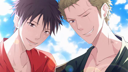 HD PC desktop wallpaper/background of One Piece anime featuring Monkey D. Luffy and Roronoa Zoro smiling together against a bright blue sky