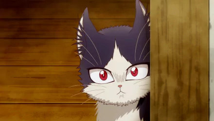Anime My Roommate is a Cat HD Desktop Wallpaper | Background Image
