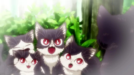 Anime My Roommate is a Cat HD Desktop Wallpaper | Background Image