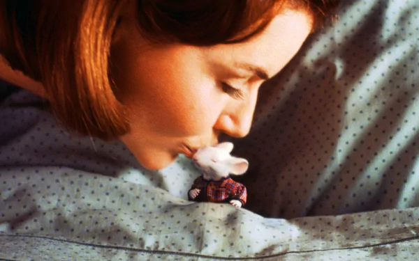 movie Stuart Little HD Desktop Wallpaper | Background Image