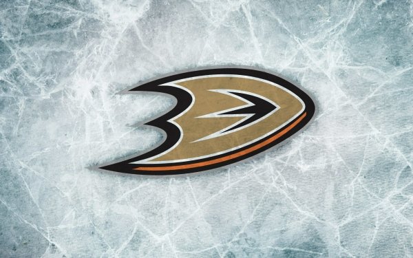 Sports Anaheim Ducks Hockey NHL Logo Emblem HD Wallpaper | Background Image