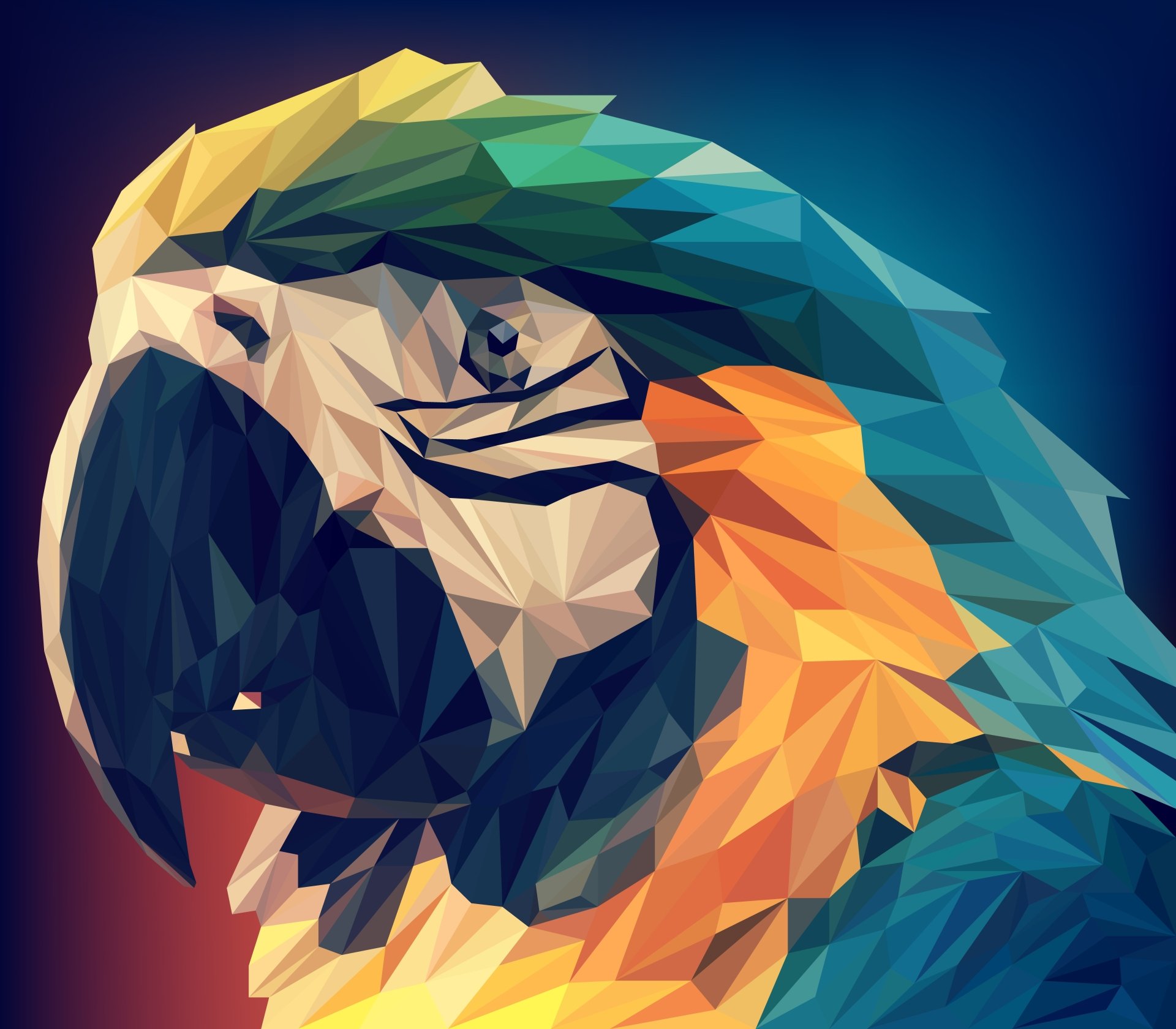 Download Facets Animal Blue-and-yellow Macaw 4k Ultra HD Wallpaper