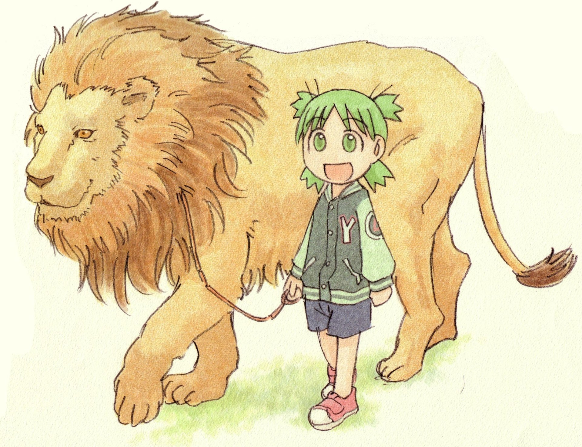 Download Lion Yotsuba Koiwai HD Wallpaper