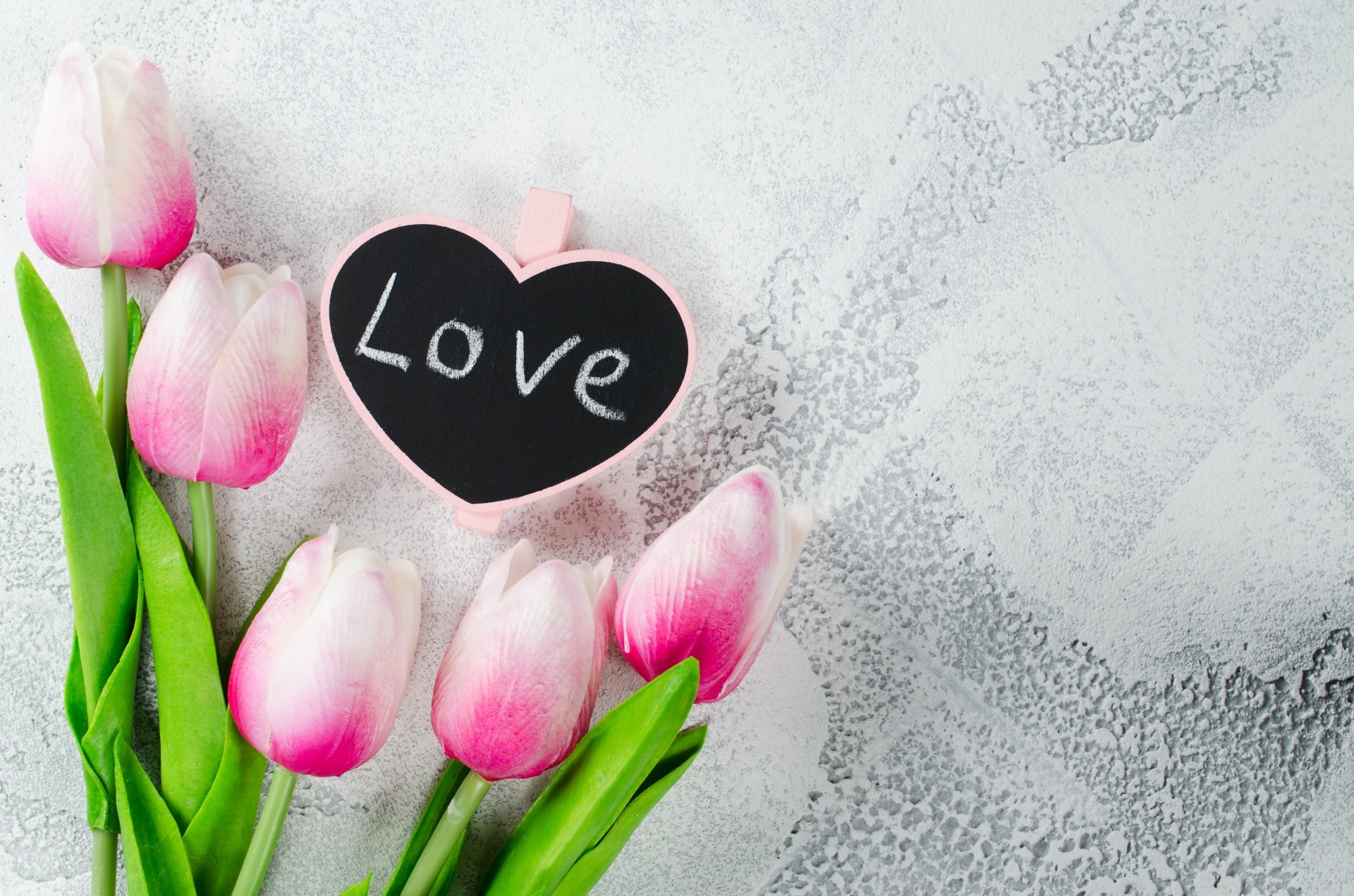 Download Tulip Flower Photography Love 4k Ultra HD Wallpaper