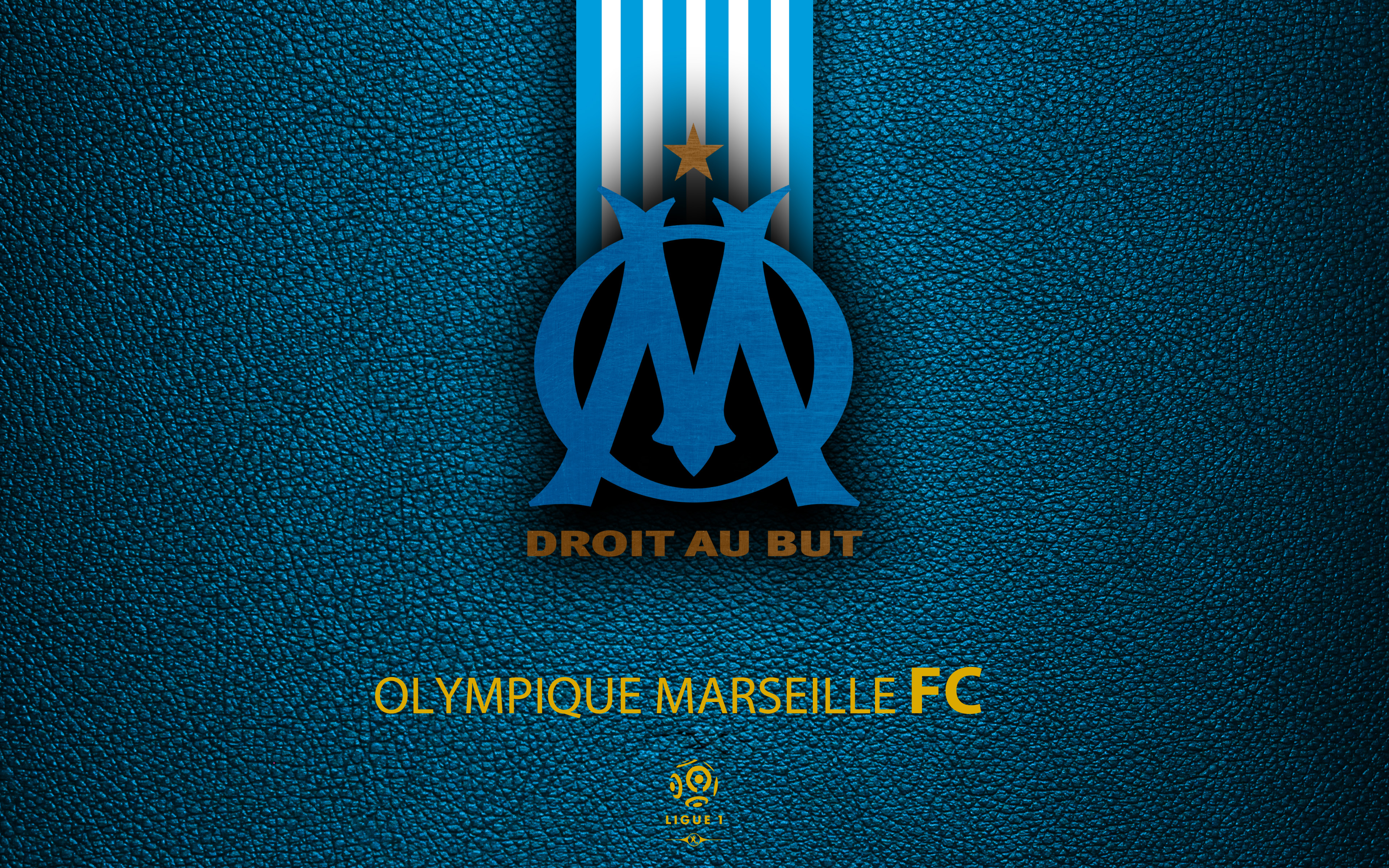 Olympique De Marseille Wallpapers  Wallpaper Cave